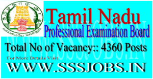 Tamil Nadu PEB TNDGE Recruitment Notification 2015 for 4360 Posts