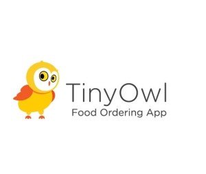 TinyOwl Technology 