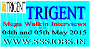 Trigent Freshers Walkin Recruitment on 04th and 05th May 2015